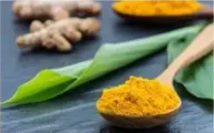 A wooden spoon of ground turmeric beside fresh turmeric root