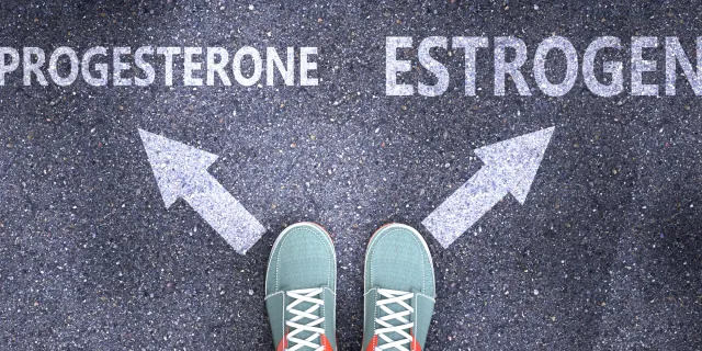 A road marked PROGESTERONE and ESTROGEN with arrows pointing each way, and a person standing at the fork