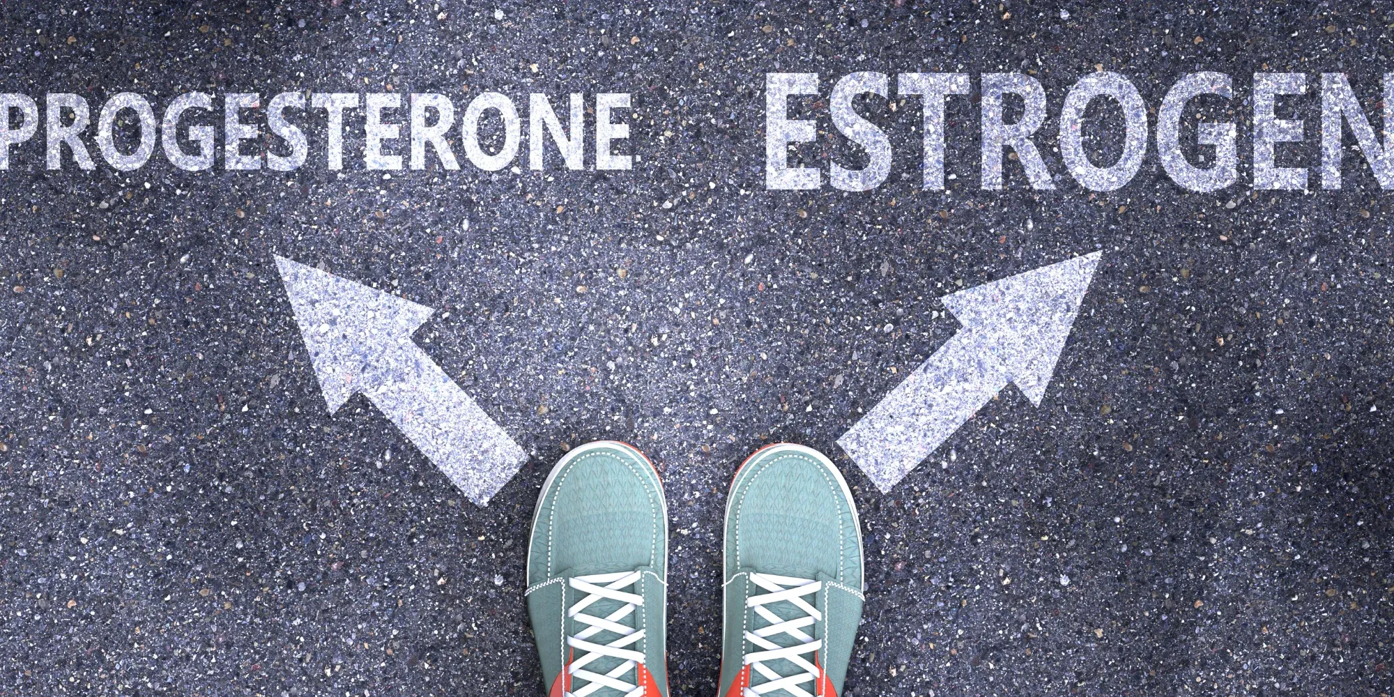 A road marked PROGESTERONE and ESTROGEN with arrows pointing each way, and a person standing at the fork