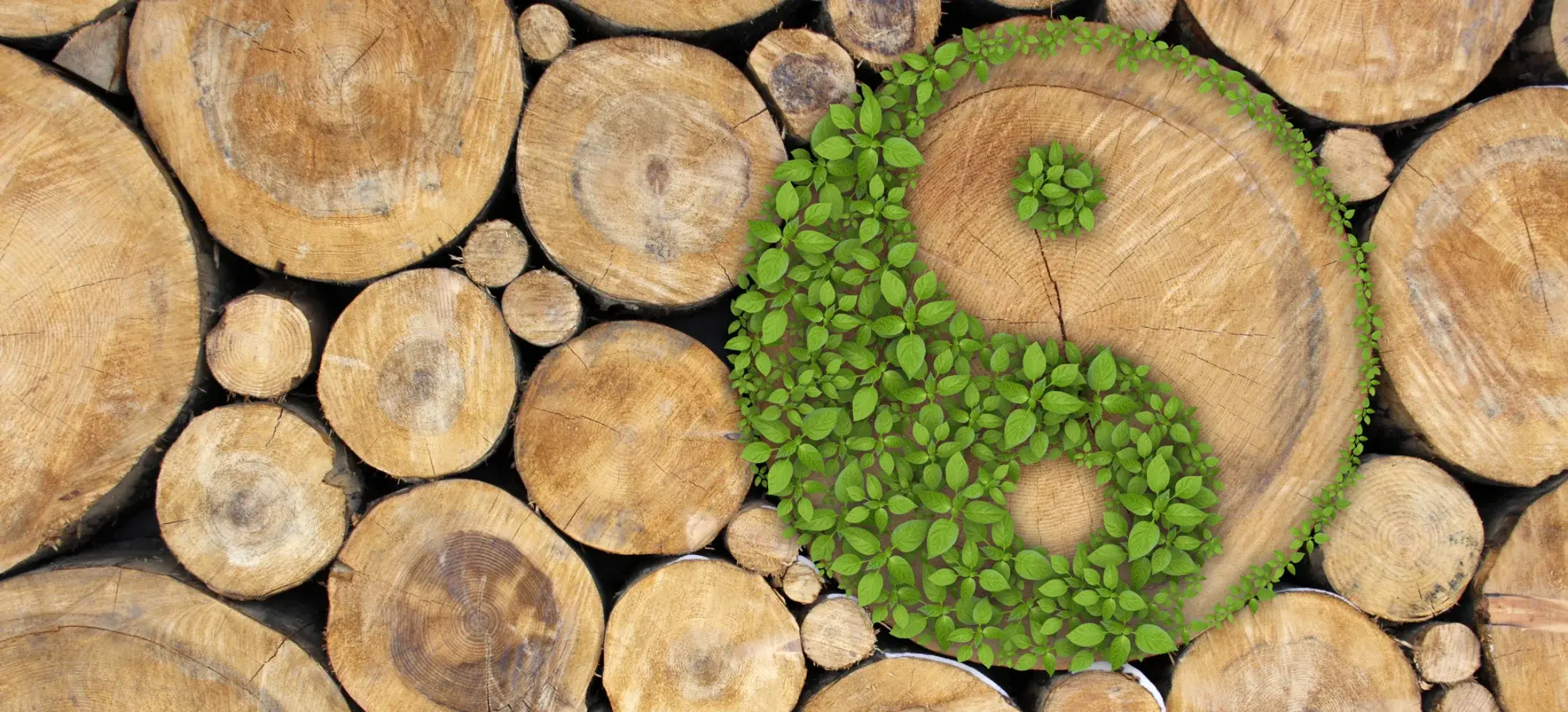 Stacked cut logs with a yin and yang symbol formed from green leaves