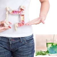 Person holding a model of the human digestive system, representing colonic health and treatments with alkalising greens infusions