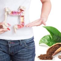 Person holding a model of the human digestive system, representing colonic irrigation with coffee Infusions