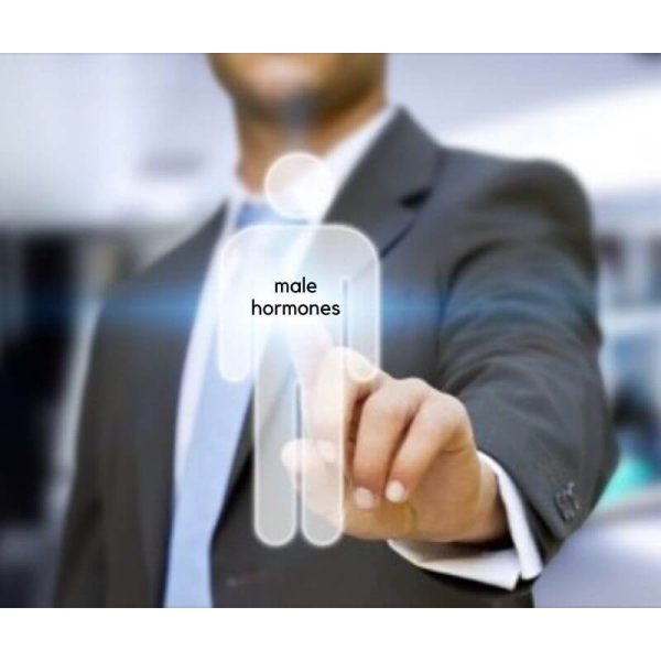 Man in a suit pointing to a graphic of a male figure labeled 'male hormones