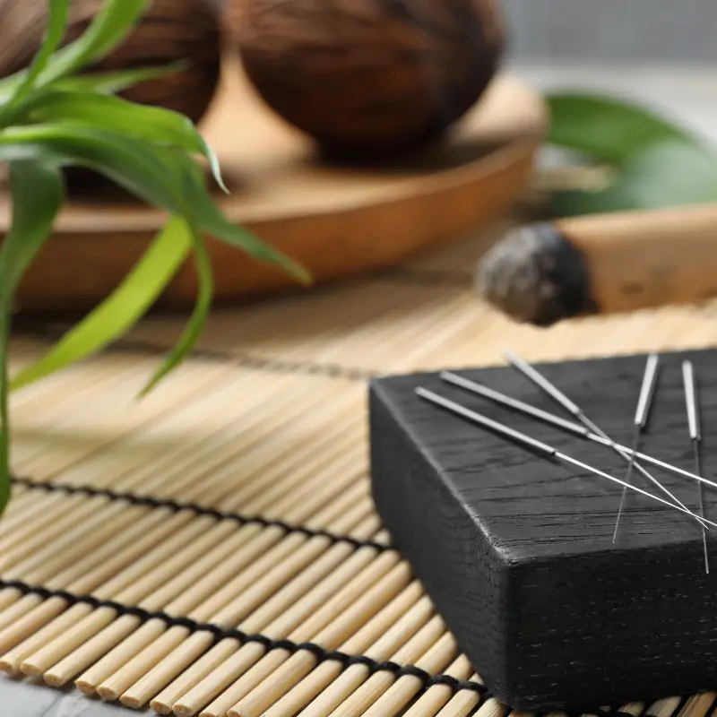 Acupuncture needles displayed on a black block with natural elements in the background, representing acupuncture and dry needling therapies